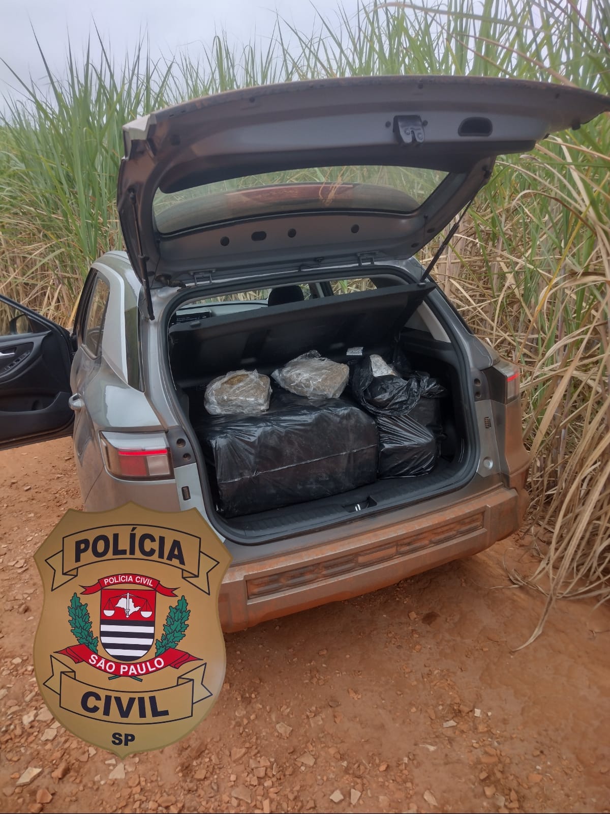 Polícia Militar Rodoviária apreende 60kg de drogas e suspeitos são identificados pela Polícia Civil