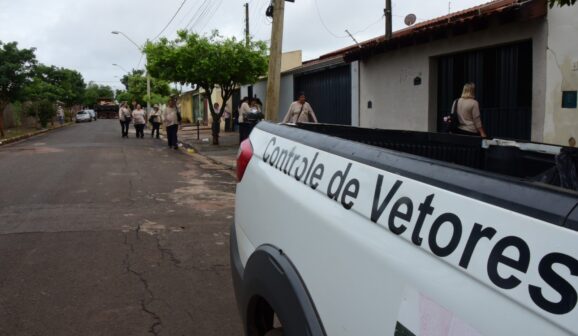 Secretaria confirma queda nos casos de dengue