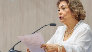A artista plástica Rosa Maria Ávila