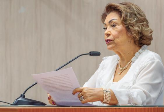 A artista plástica Rosa Maria Ávila