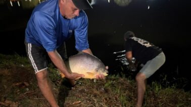Pesca nos lagos será liberada no domingo