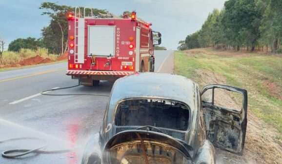 Incêndio causa danos em veículo na rodovia (Foto: O Diário de Barretos)