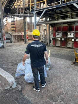 Polícia Civil incinera aproximadamente 55 kg de maconha na região (Foto: O Diário de Barretos)