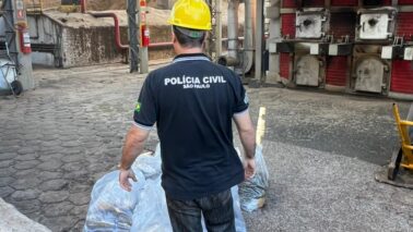 Polícia Civil incinera aproximadamente 55 kg de maconha na região (Foto: O Diário de Barretos)