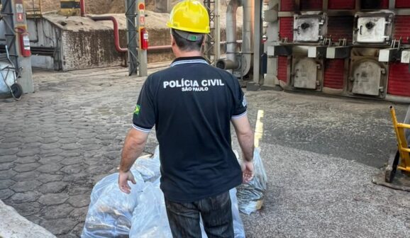 Polícia Civil incinera aproximadamente 55 kg de maconha na região (Foto: O Diário de Barretos)
