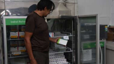 Vacinação contra gripe é ampliada para toda a população