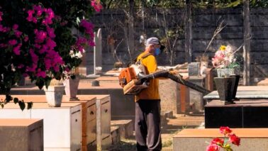 Serviços de limpeza e manutenção foram intensificados nesta semana