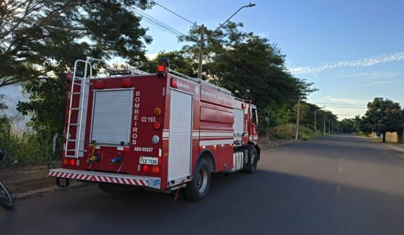 Bombeiros apagam incêndio em área de mato no Vida Nova (Foto: O Diário de Barretos)
