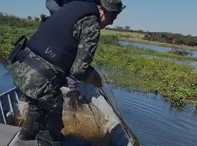 A Polícia Militar Ambiental, por meio do 2º Pelotão de Polícia Ambiental, confirmou que realizou a apreensão de redes durante a Operação Semana do Meio Ambiente, em Colômbia, na sexta-feira (6).