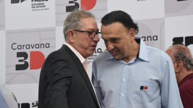 VICE GOVERNADOR