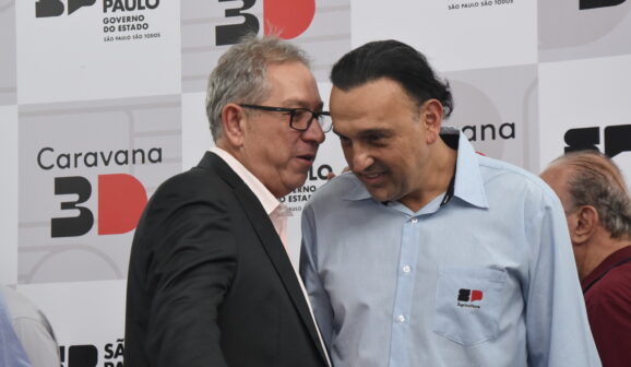 VICE GOVERNADOR