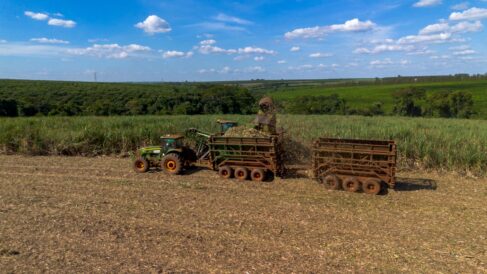 Tereos adota medidas para ampliar eficiência da safra de cana
