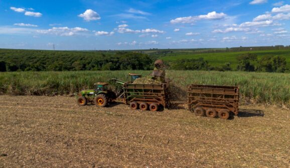 Tereos adota medidas para ampliar eficiência da safra de cana