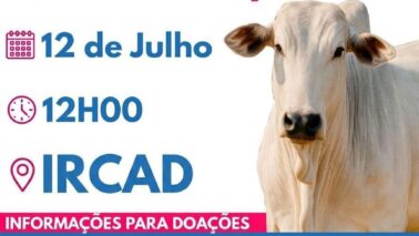 O Hospital de Amor de Barretos confirmou a realização do 25º Leilão Estrelas do Bem – Direito de Viver no mês de julho.
