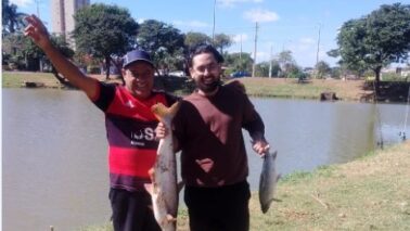 O barretense Adriano Pereira, 52 anos, teve uma pescaria bastante produtiva na manhã desta sexta-feira (5), na segunda represa da Região dos Lagos