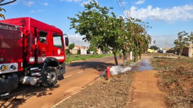A Estação de Bombeiros de Barretos iniciou o trabalho de vistoria dos hidrantes públicos instalados nas calçadas de Barretos, Colina, Colômbia, Guaíra e Jaborandi.