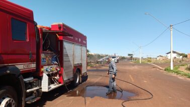 Bombeiros extinguem incêndio em área de vegetação no Nova Barretos III (Foto: O Diário de Barretos)
