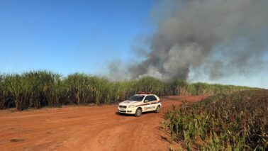 Canavial pega fogo e mobiliza Defesa Civil