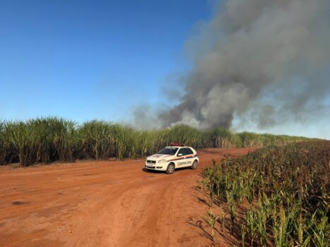 Canavial pega fogo e mobiliza Defesa Civil