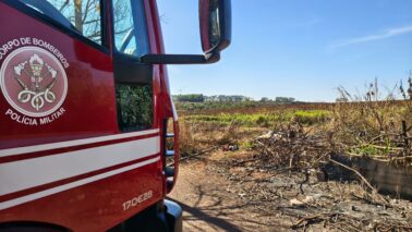 Bombeiros apagam incêndio em área de vegetação no bairro Vida Nova (Foto: O Diário de Barretos)