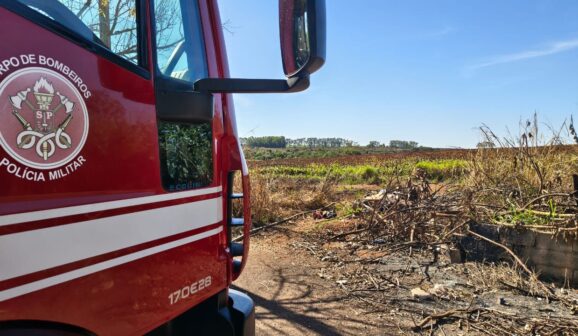 Bombeiros apagam incêndio em área de vegetação no bairro Vida Nova (Foto: O Diário de Barretos)