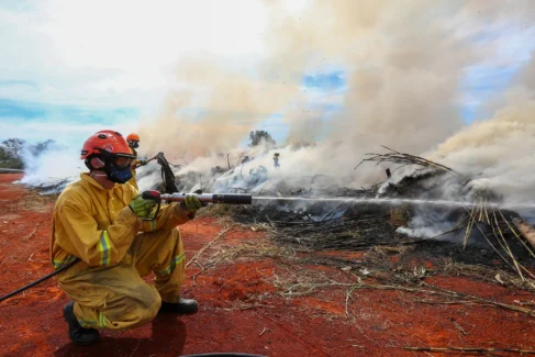 Massa de ar seco e baixa umidade do ar favorecem ocorrências (Foto: Divulgação/Governo de SP)