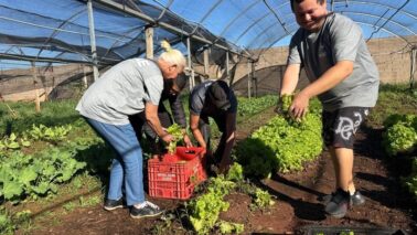 Iniciativa fortalece o desenvolvimento de pessoas com deficiência por meio do cultivo de alimentos, da socialização e da promoção de hábitos saudáveis (Foto: Divulgação)