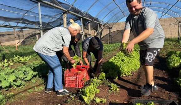 Iniciativa fortalece o desenvolvimento de pessoas com deficiência por meio do cultivo de alimentos, da socialização e da promoção de hábitos saudáveis (Foto: Divulgação)