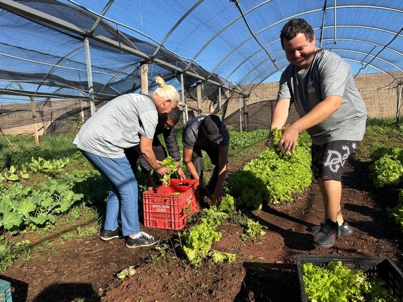 Minerva apoia projeto de horta orgânica inclusiva em Barretos