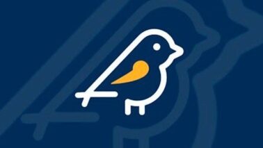 Logo do aplicativo regulamentado pelo Tribunal Superior Eleitoral (REPRODUÇÃO TSE)