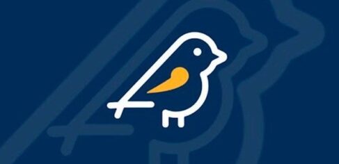 Logo do aplicativo regulamentado pelo Tribunal Superior Eleitoral (REPRODUÇÃO TSE)