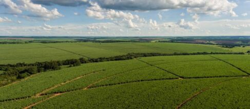 Companhia mapeou mais de 160 mil hectares e realizou análises do solo (Foto: Divulgação)