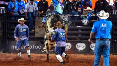 Daniel Araújo vence 1° round da LNR