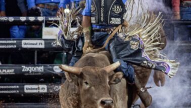 Liga Nacional de Rodeio define primeiros classificados para final em Barretos