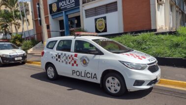Mulher é presa durante furto em estabelecimento comercial (Foto: O Diário de Barretos)