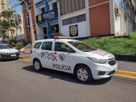 Mulher é presa durante furto em estabelecimento comercial (Foto: O Diário de Barretos)
