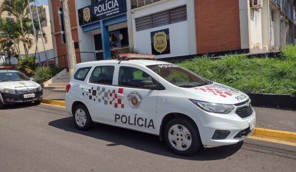 Mulher é presa durante furto em estabelecimento comercial (Foto: O Diário de Barretos)