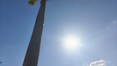 Calor intenso e baixa umidade colocam municípios em alerta 