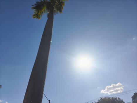 Calor intenso e baixa umidade colocam municípios em alerta 