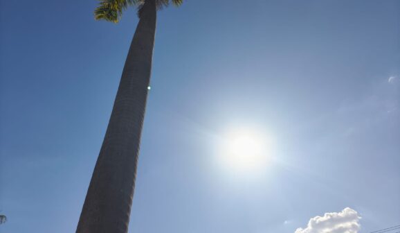 Calor intenso e baixa umidade colocam municípios em alerta 