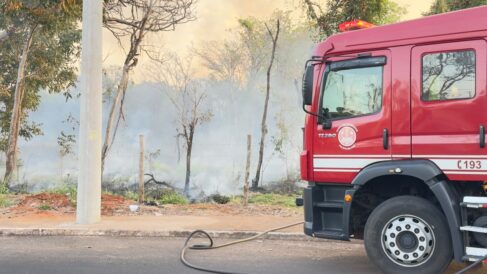 Bombeiros apagam incêndio em mata no Luís Spina (Foto: O Diário de Barretos)