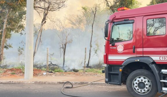 Bombeiros apagam incêndio em mata no Luís Spina (Foto: O Diário de Barretos)
