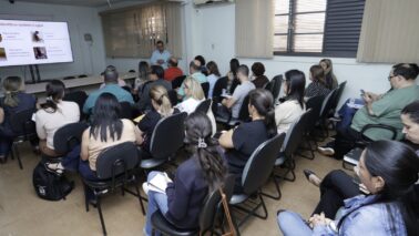 Região registra mais de mil acidentes com escorpiões