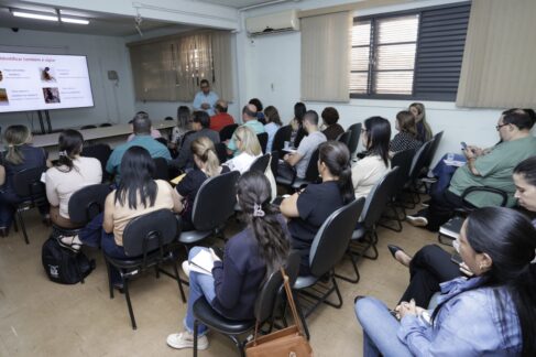 Região registra mais de mil acidentes com escorpiões