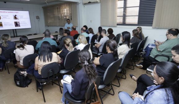 Região registra mais de mil acidentes com escorpiões
