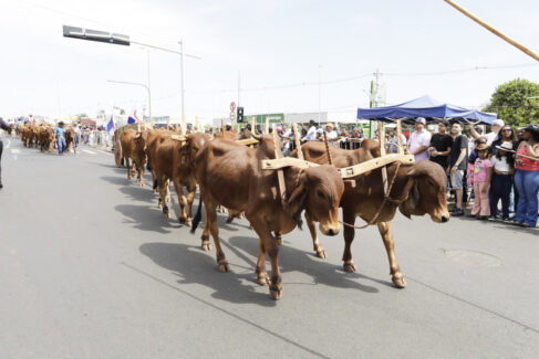 Desfile reúne público em avenida pelos 172 anos de Barretos