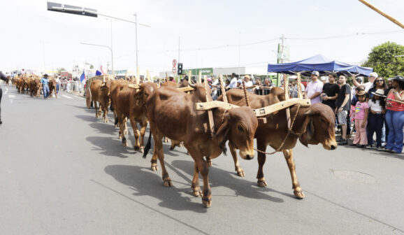 Desfile reúne público em avenida pelos 172 anos de Barretos