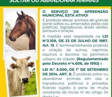 Prefeitura oferece serviço de recolhimento de animais