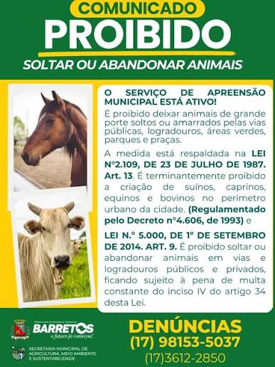 Prefeitura oferece serviço de recolhimento de animais