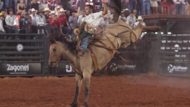 O paulista Júlio César de Oliveira, de 24 anos, de Santa Fé do Sul (SP), é o novo campeão do 33º Barretos International Rodeo, no estilo Cutiano. Após bons resultados nas semifinais, Júlio Oliveira chegou à final na primeira colocação, com 181 pontos.